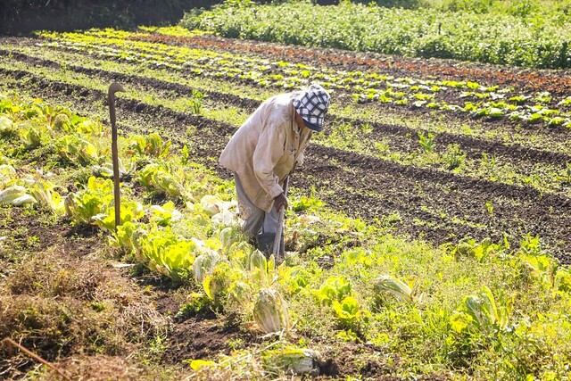 Produção local recebeu estímulo de R$ 30 milhões