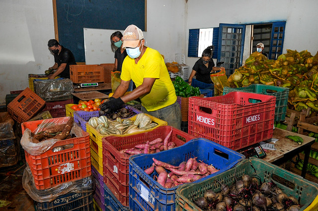 Mais de R$ 6 milhões para o Fundo de Desenvolvimento Rural do DF em 2022