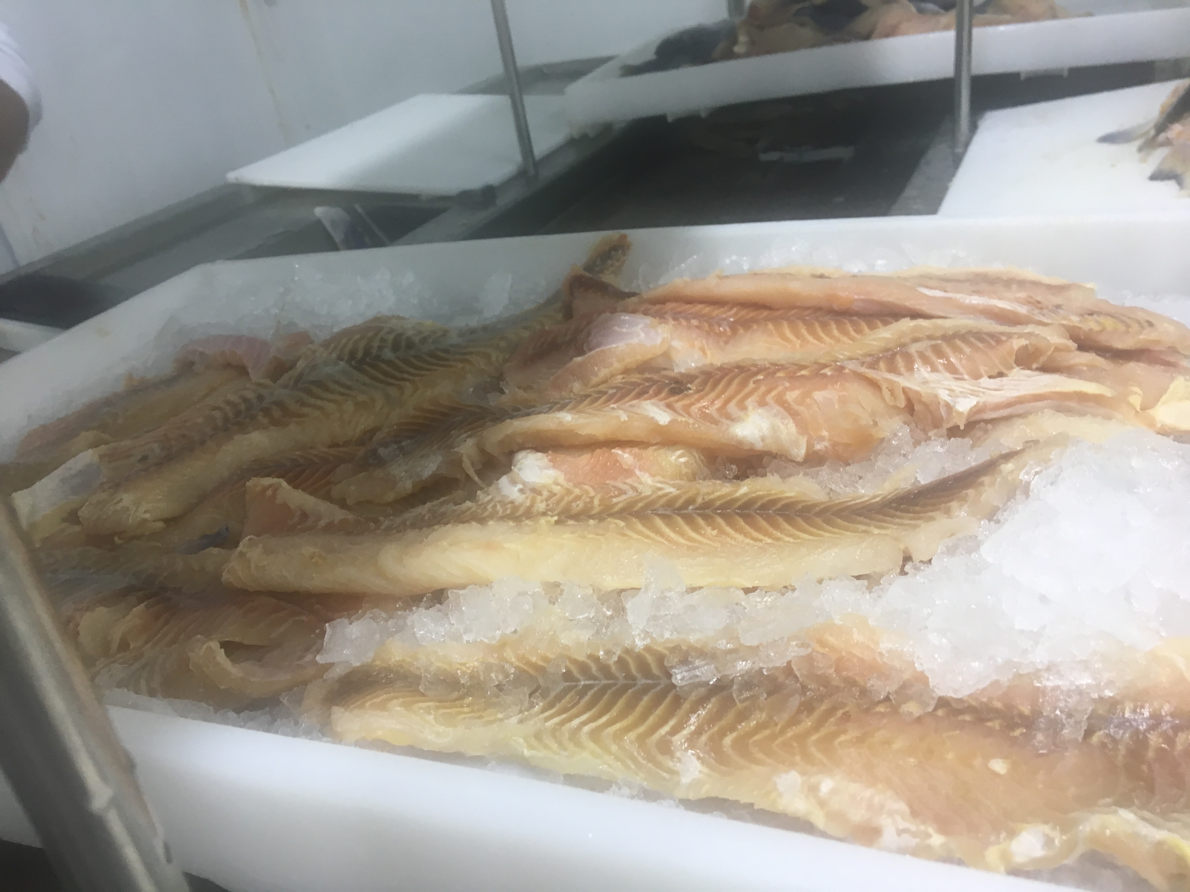 Atualmente, há 5 estabelecimentos de pescados e 2 de ovos com selo de inspeção distrital interessadas em pleitear a adesão ao Sistema Brasileiro de Inspeção de Produtos de Origem Animal (Sisbi)| Foto: Divulgação/Seagri