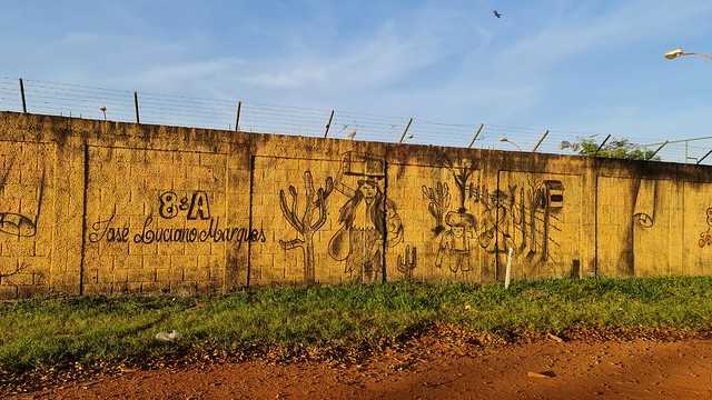 Grafite transforma muros de escolas do GDF em telas a céu aberto