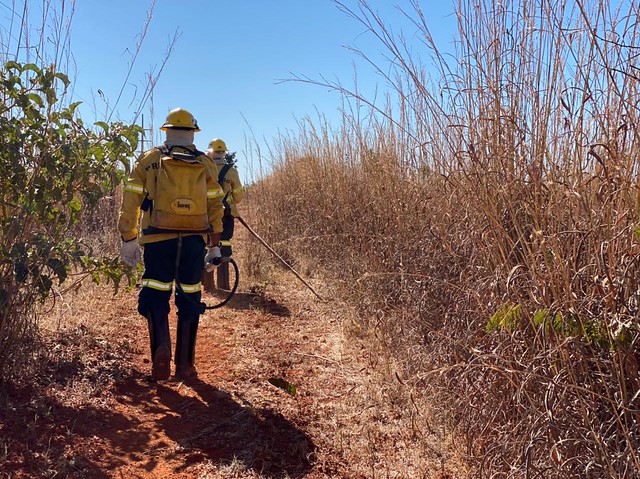 Atuação conjunta para reduzir riscos de incêndios no período da seca