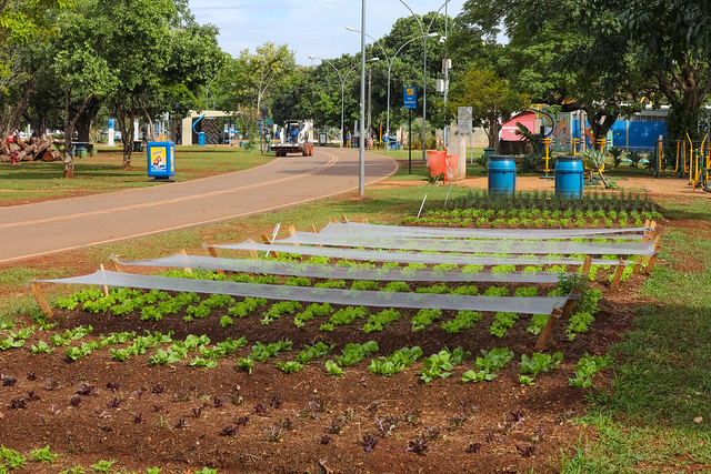 Parque da Cidade ganha segunda horta comunitária