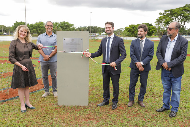 Parque da Cidade ganha Jardim de Rosas com 200 mudas