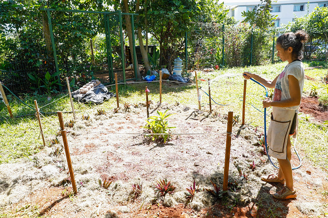 Horta comunitária passa a englobar área do Parque Bosque do Sudoeste