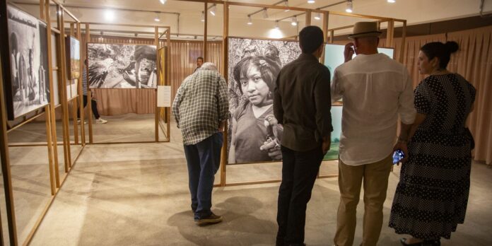 03.08.23_bienal_das_amazonias_abertura_convidados_-_fotos_nailana_thiely_99.jpg