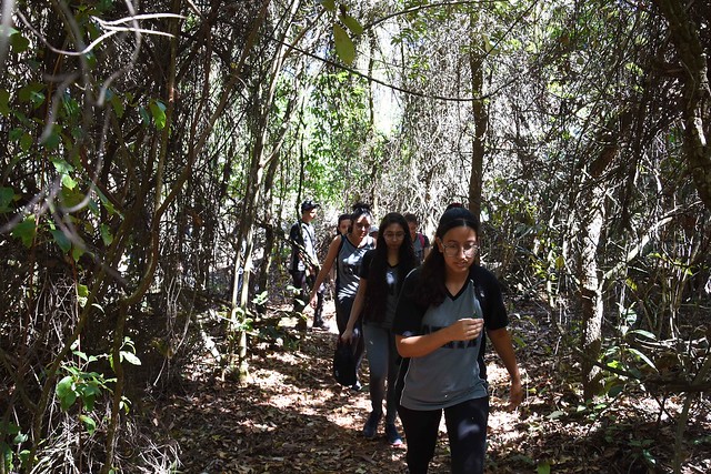 Projeto Cerrado Vivo do Centro de Ensino Médio de Taguatinga Norte (CEMTN)