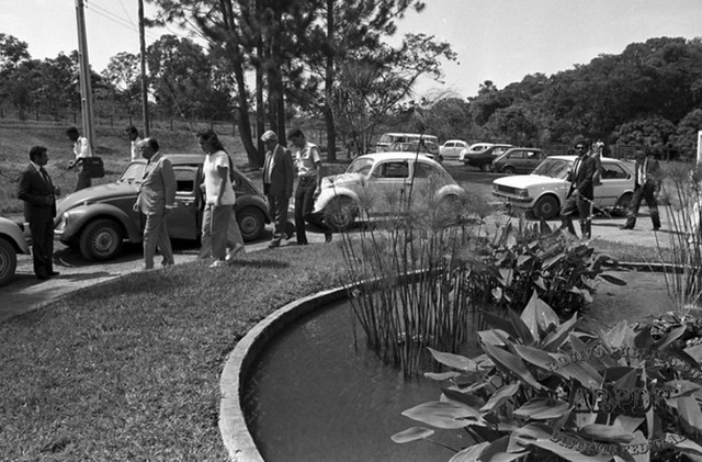 07/03/2024 - #TBT: Jardim Botânico de Brasília é refúgio da biodiversidade há 39 anos