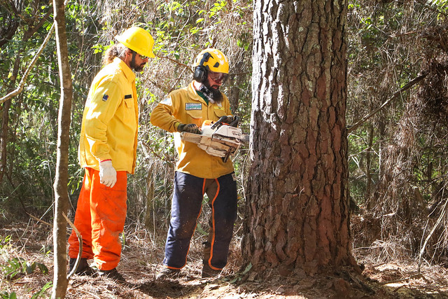 05/07/2024 - Brigadistas brasileiros e americanos trocam conhecimentos para combate a incêndios florestais