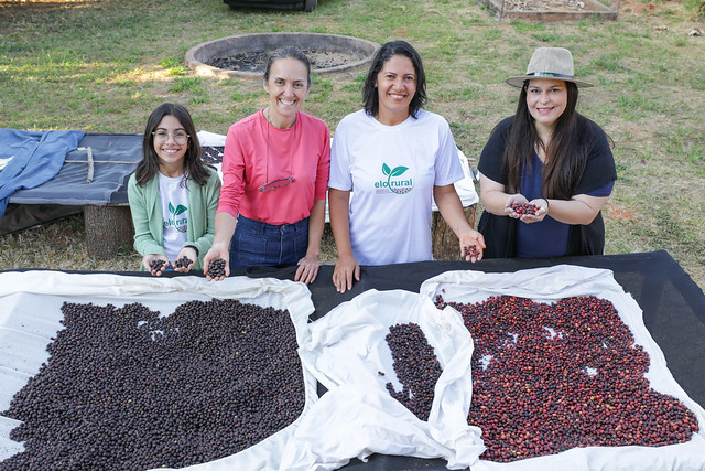 06/07/2024 - Cafeicultoras se unem para fortalecer cadeia produtiva do grão no DF