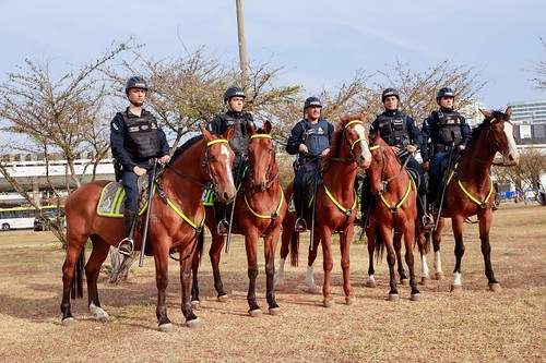 07/09/2024 - Segurança marca desfile de 7 de setembro neste sábado