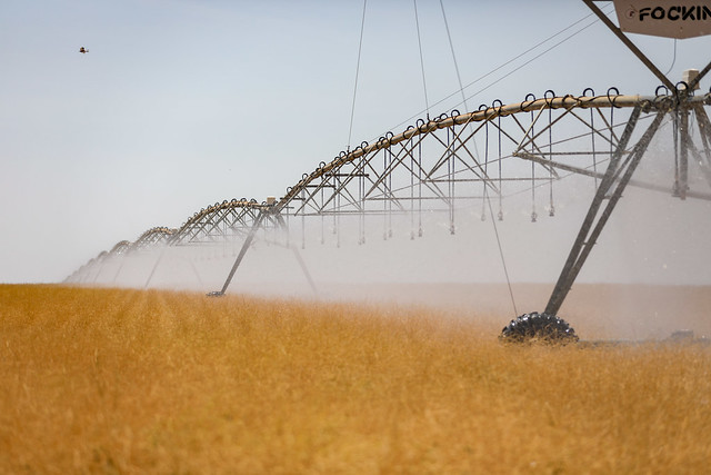 06/10/2024 - PAD-DF é referência no uso de técnicas de irrigação eficiente e sustentável